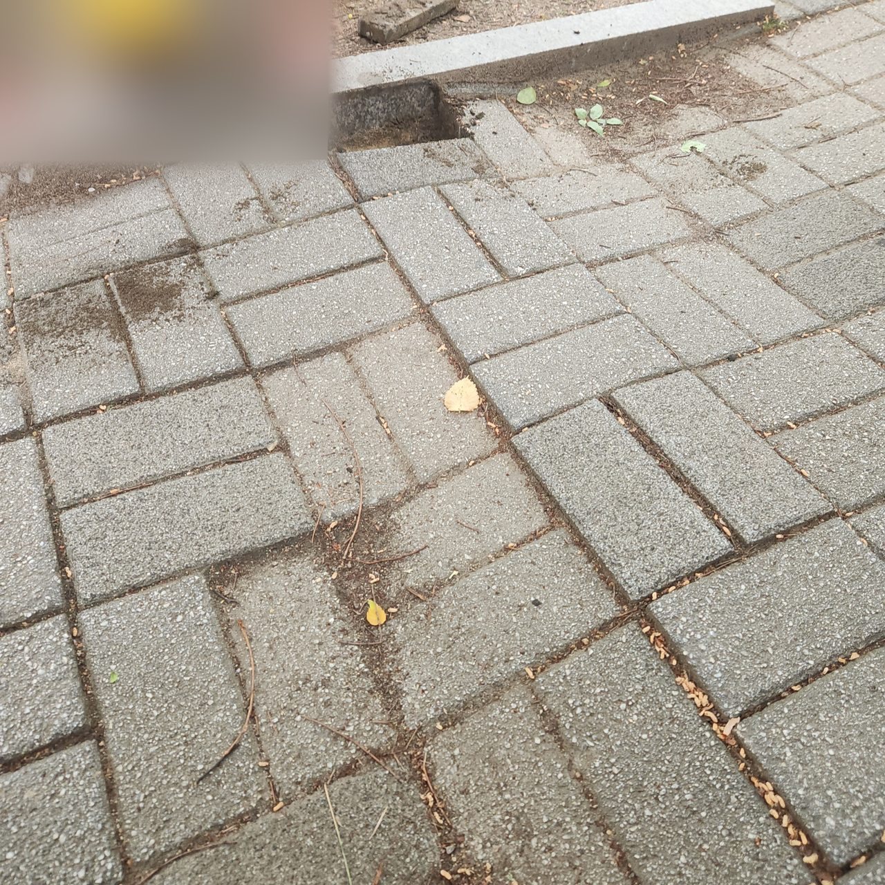 경계석 옆 블록 들어내기