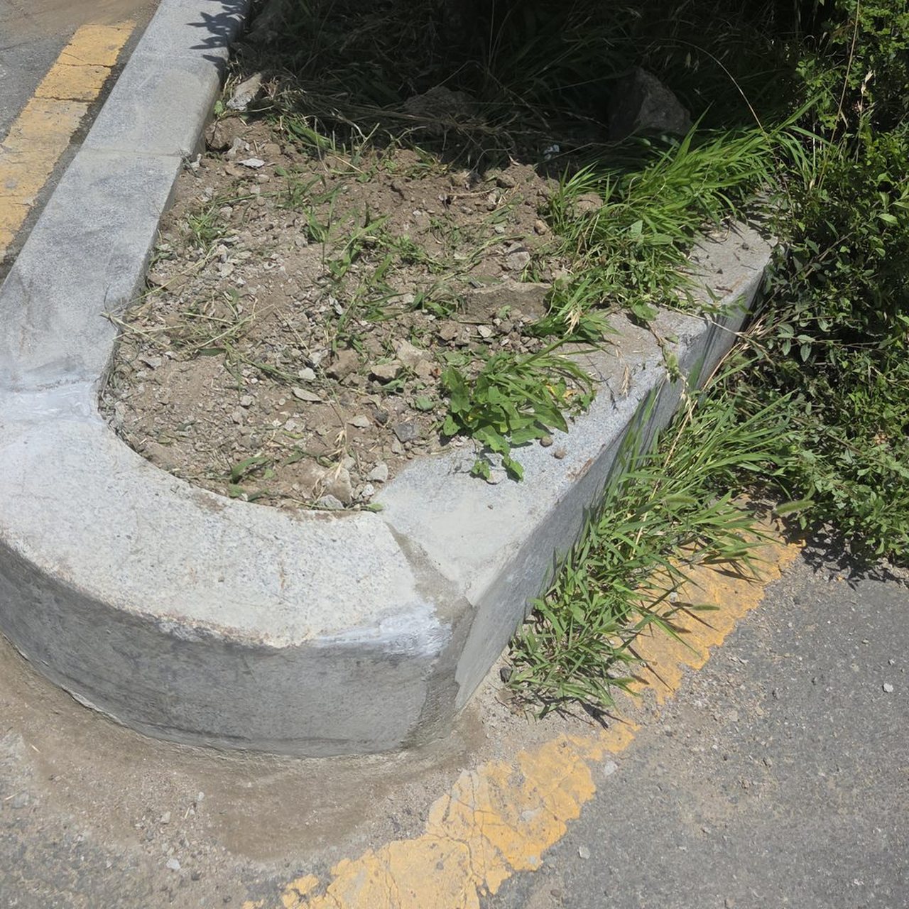다시 앉힌 반원 경계석