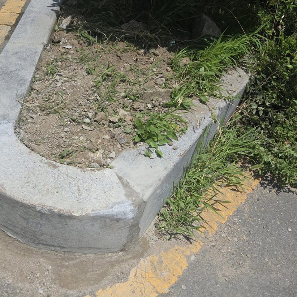 다시 앉힌 반원 경계석