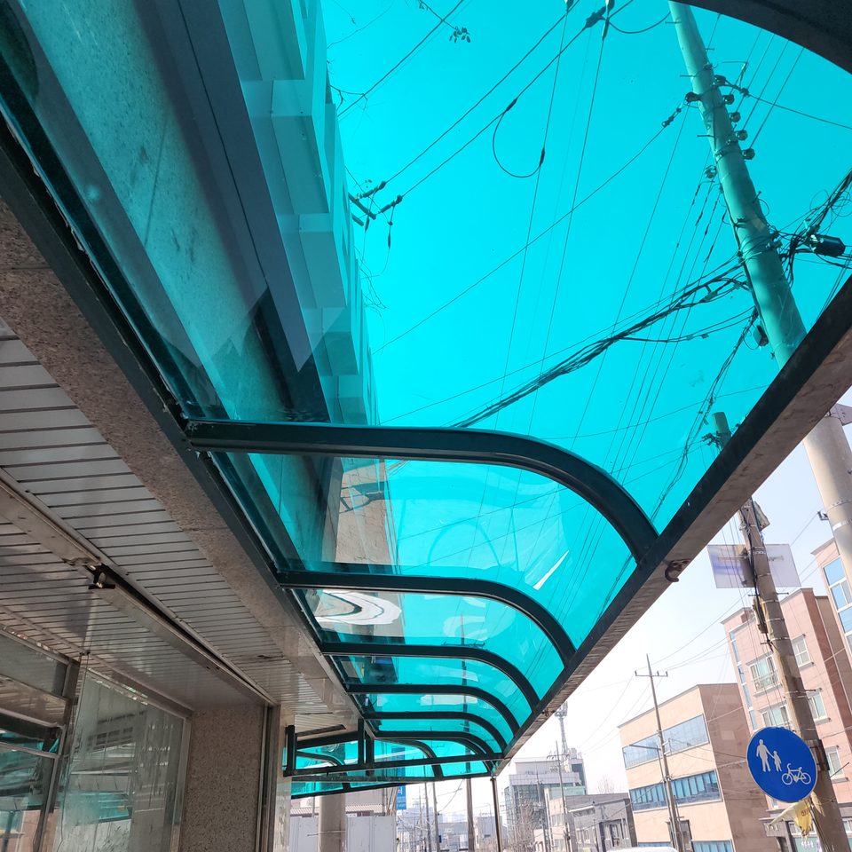 아래에서 본 청록색 새 캐노피