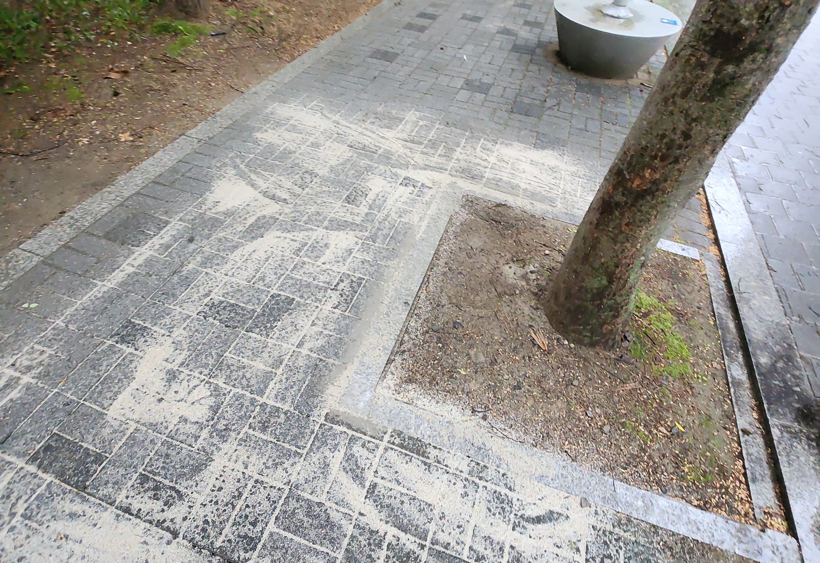 세종·공주 보도블록·경계석 시공 시공 현장